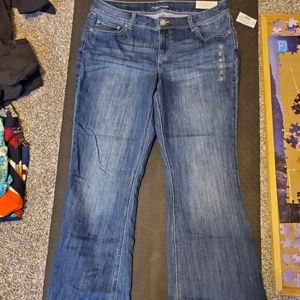 Maurices Flare Jeans